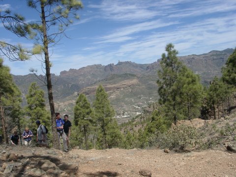 beim Aufstieg zum Morro de la Hierba Huerto (1243m)