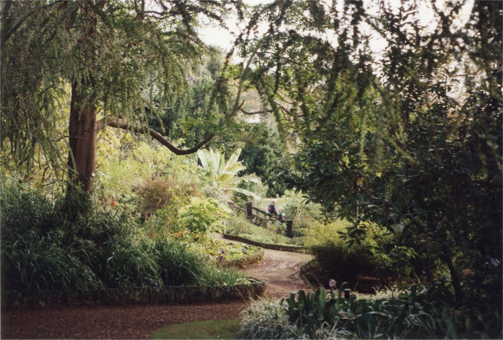 in Blandys Garden
