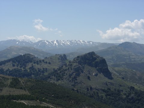 Monte Nova San Giovanni (1316m): Blick zum Gennargentamassiv (max. 1834 m, mit Schnee)